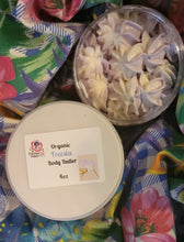 Load image into Gallery viewer, Hawaiian Tropical, Watermelon, Strawberry Cheesecake, Strawberries & Vanilla Cream, & More...