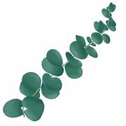 Load image into Gallery viewer, SUGAR SCRUB***Organic Orange Sugar Scrub 5-gal bucket (assorted flavors)
