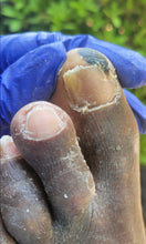 Load image into Gallery viewer, Hawaiian Tropical, Watermelon, Strawberry Cheesecake, Strawberries &amp; Vanilla Cream, &amp; More...
