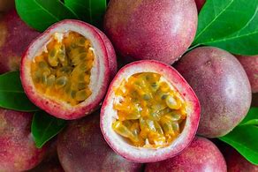 Sugar Scrub●Exotic Pineapple Coconut 8 oz, Exotic Peach Smoothie 8 oz, Juicy Watermelon 8 oz, Oatmeal Sugar Scrub 12 oz, Bahamama Berry 8 oz , Passion Fruit 8 oz, Cucumber Melon 8 oz, Cotton Candy 8 oz, Mango 8 oz, Baby Powder 8 oz