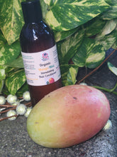 Load image into Gallery viewer, HAIR***Organic Mango-Mint Hair Stimulating Shampoo 8 oz
