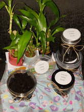 Load image into Gallery viewer, Cellulite Coffee &amp; Sugar Scrub Set
