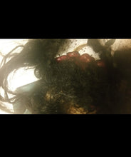 Load image into Gallery viewer, HAIR***Precious Petals Organic Hair Growth Oil 1 oz, 2 oz, &amp; 4 oz Bottles (Regular &amp; Extra Strength)
